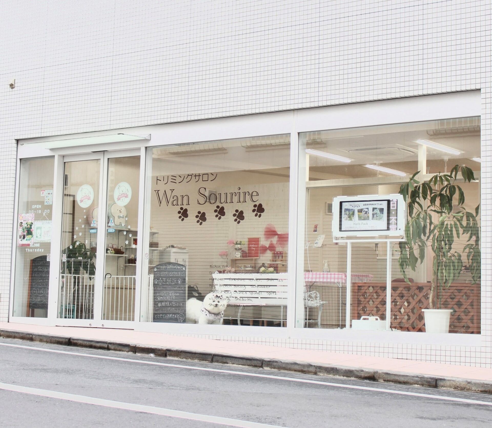 駅チカなので定期的に通いやすい立地です 板橋区で丁寧に仕上げるトリミングサロンわんすりーる