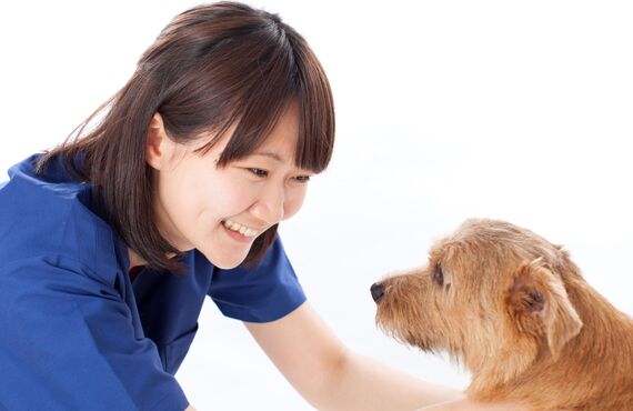 独立したいトリマーさんのサポートもしています 【成功マインドコーチ】トリミングサロンわんすりーる