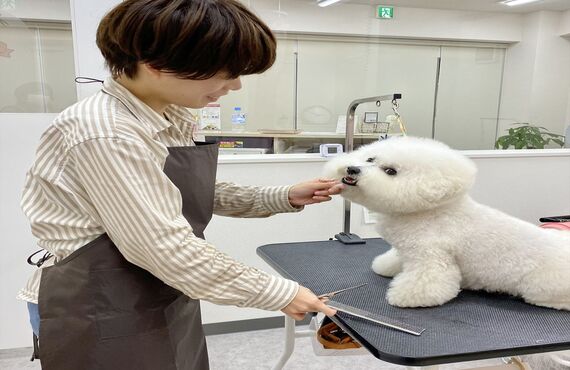 ワンちゃんと心を通わせるトリミングで人見知りさんも安心｜板橋区トリミングサロンWanSourire(わんすりーる)